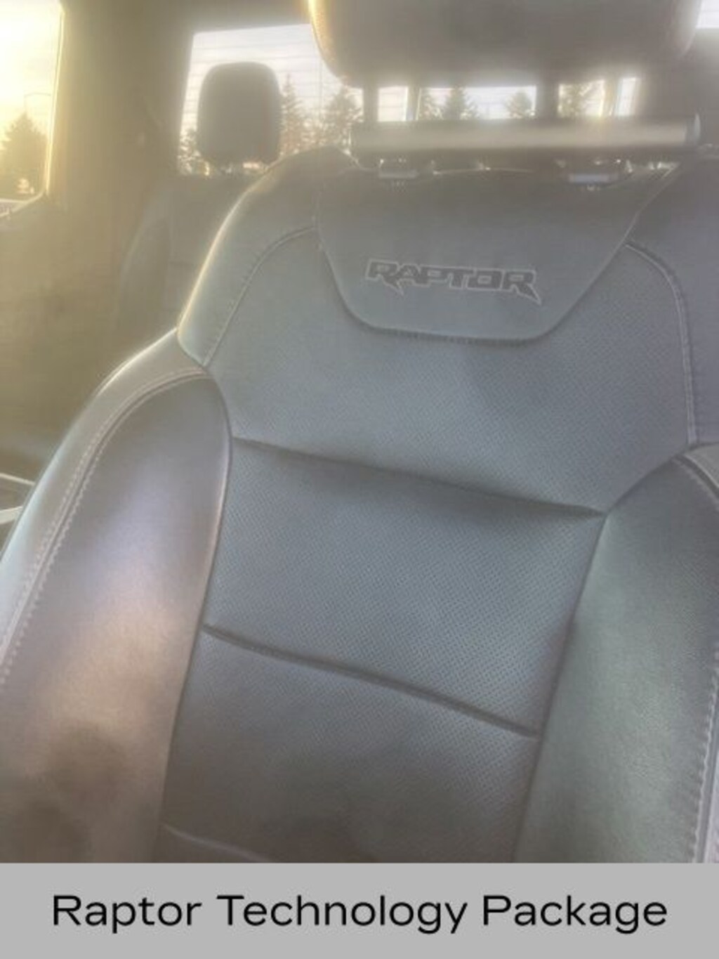 Used 2018 Ford F-150 Raptor Truck