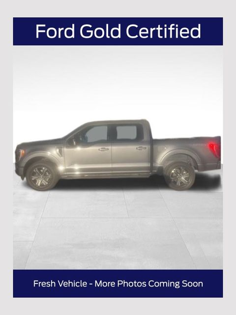 2023 Ford F-150 XLT's photo