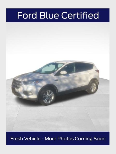 2019 Ford Escape SUV 