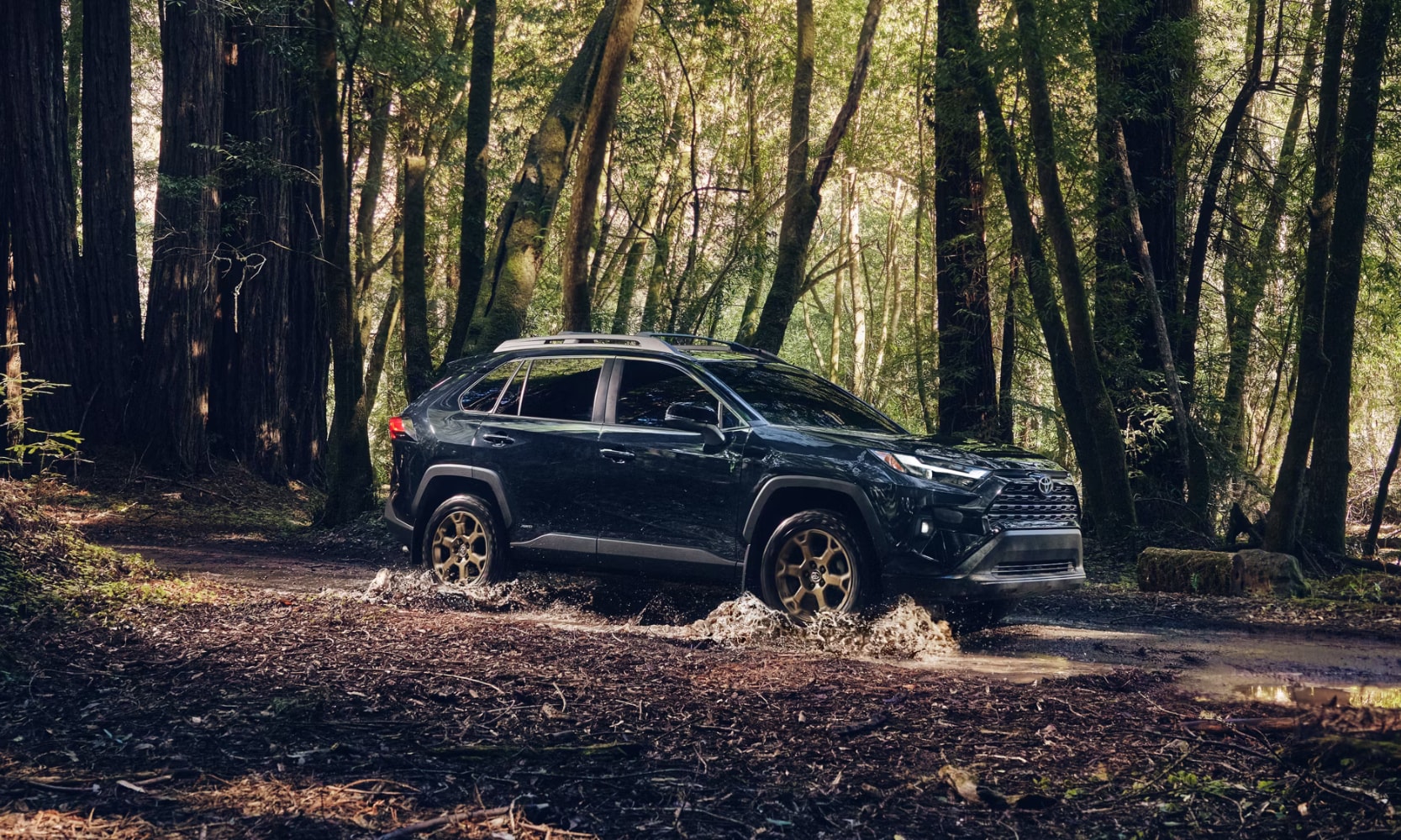 Exterior side image of a black 2025 Toyota RAV4 driving on a dirt road in a forest