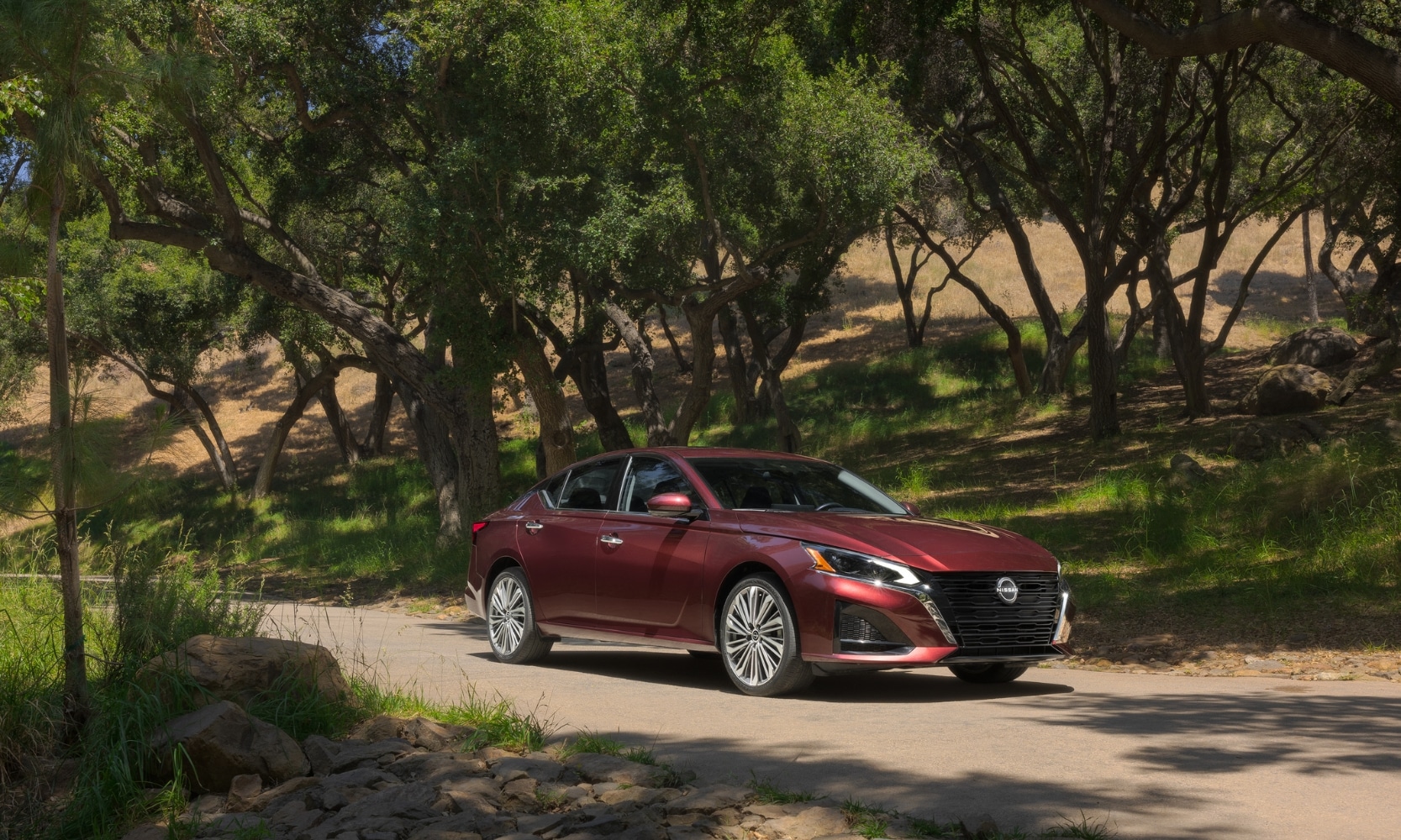 Exterior front side angle image of a dark red 2024 Nissan Altima driving through a park