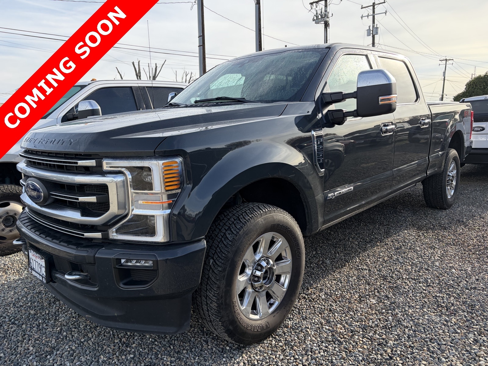 2021 Ford F-250 Super Duty Platinum's photo