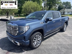 2025 GMC Sierra 1500 Denali Truck