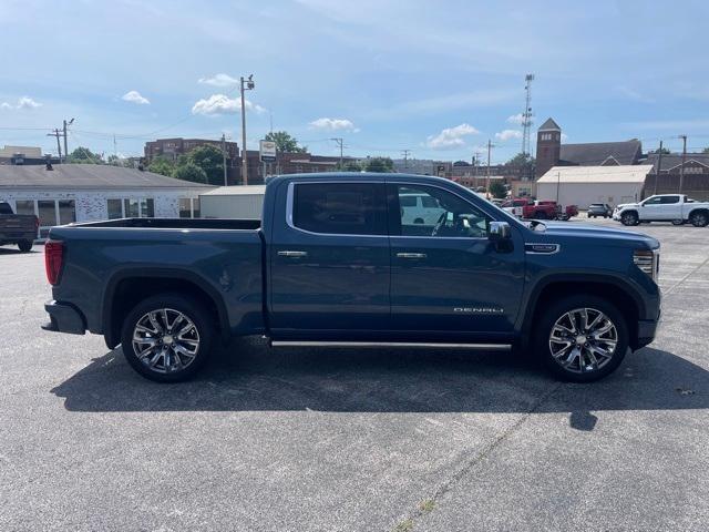 2025 Gmc Sierra 1500 Denali photo 4