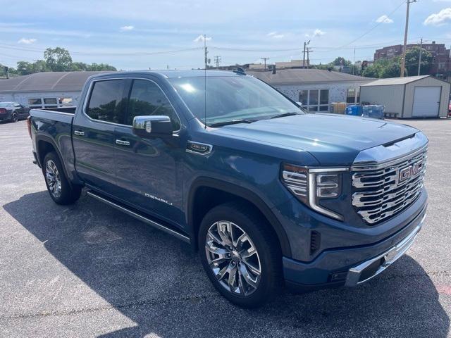 2025 Gmc Sierra 1500 Denali photo 3