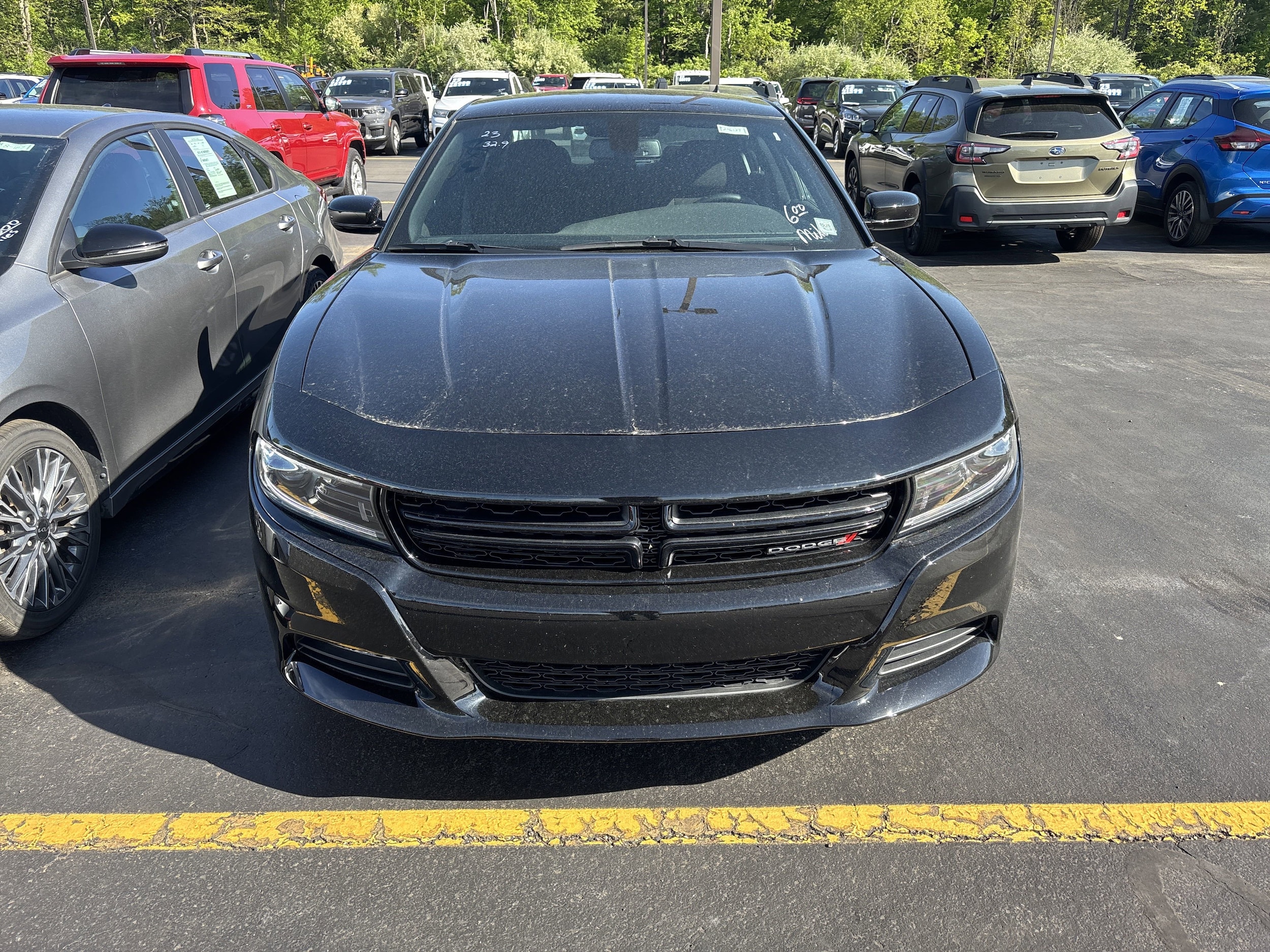 Used 2023 Dodge Charger SXT with VIN 2C3CDXJG3PH708890 for sale in Hornell, NY