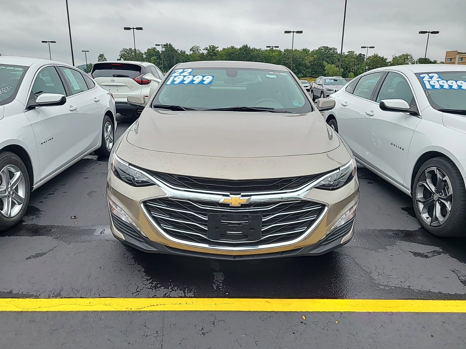Used 2022 Chevrolet Malibu 1LT with VIN 1G1ZD5ST1NF124176 for sale in Hornell, NY