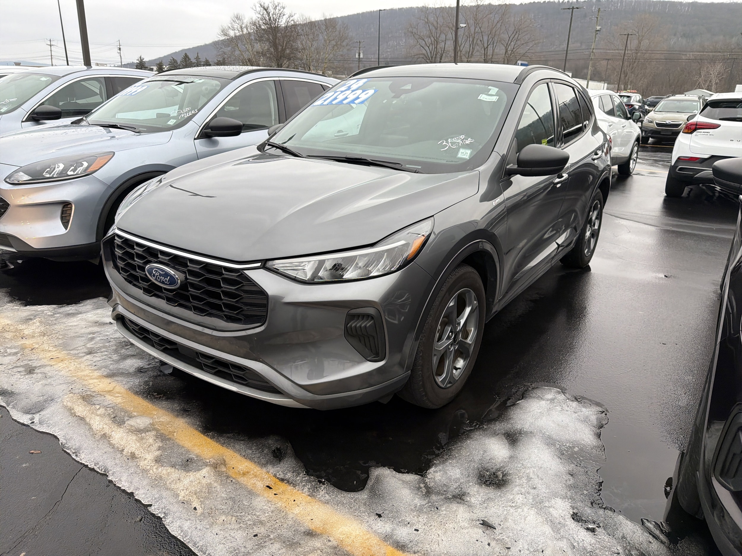 2024 Ford Escape ST-Line