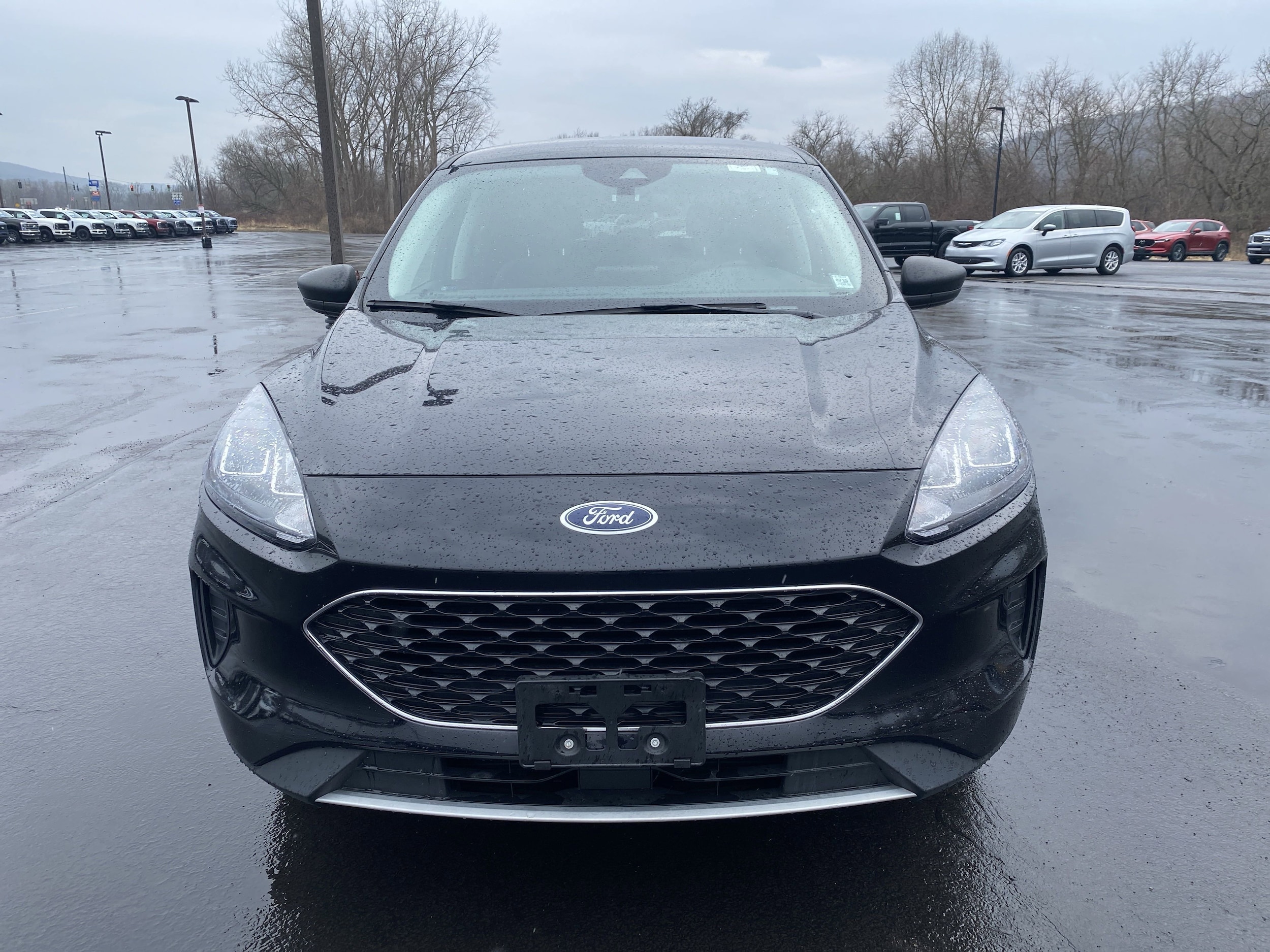 Used 2022 Ford Escape SE with VIN 1FMCU9G67NUA39177 for sale in Bath, NY