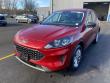 Used 2022 Ford Escape SE SUV