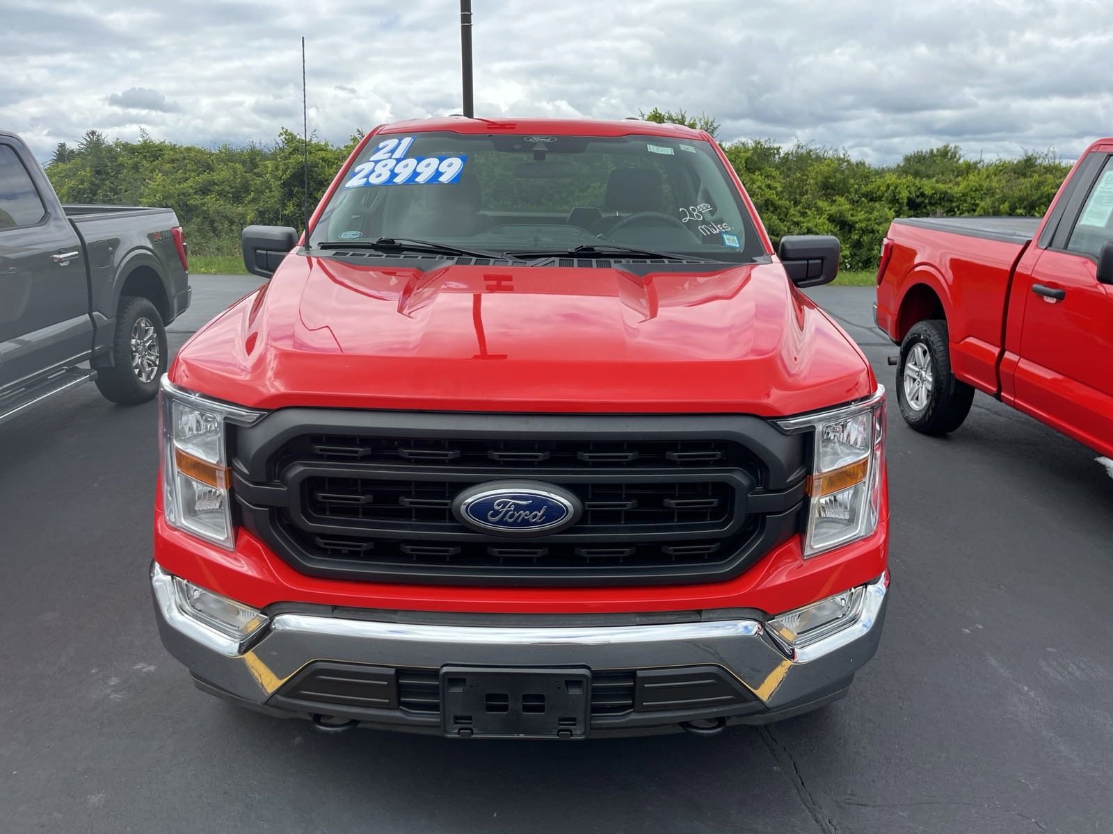 Used 2021 Ford F-150 XLT with VIN 1FTMF1EB6MKF07379 for sale in Bath, NY