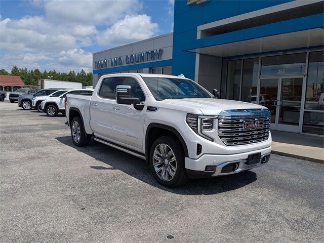 2024 Gmc Sierra 1500 Denali photo 3