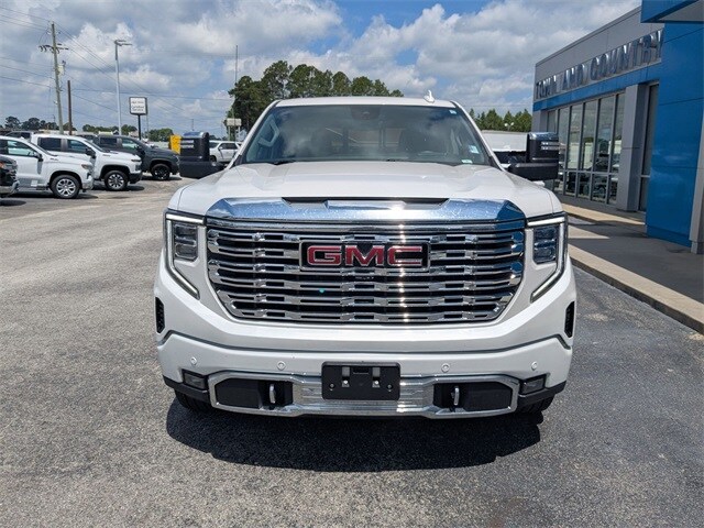 2024 Gmc Sierra 1500 Denali photo 2