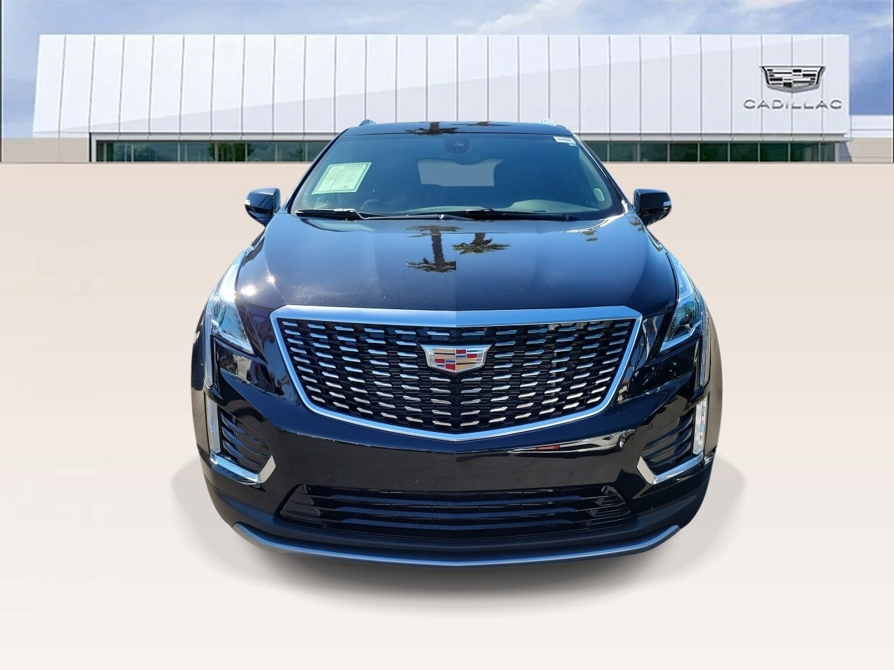 2025 Cadillac XT5 Premium Luxury photo 3