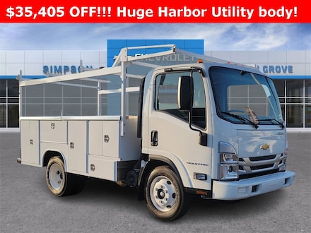 2024 Chevrolet Low Cab Forward 4500 Truck