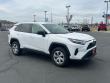 2024 Toyota RAV4 LE SUV