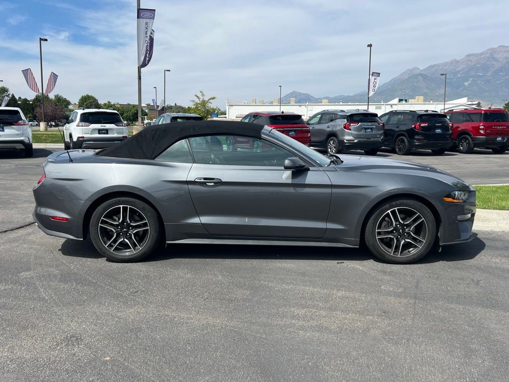 2023 Ford Mustang EcoBoost Premium photo 4