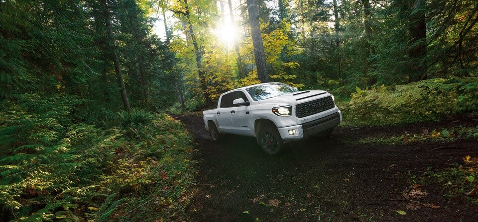 2021-Toyota-Tundra-TRDPro-CrewCab-Malvern-PA-2.jpg