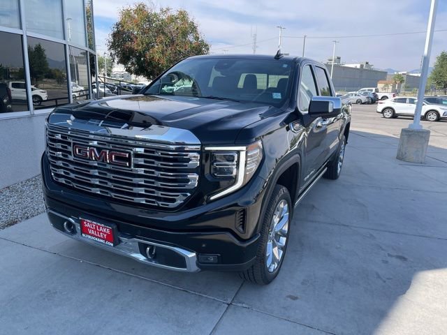 2023 Gmc Sierra 1500 Denali photo 2