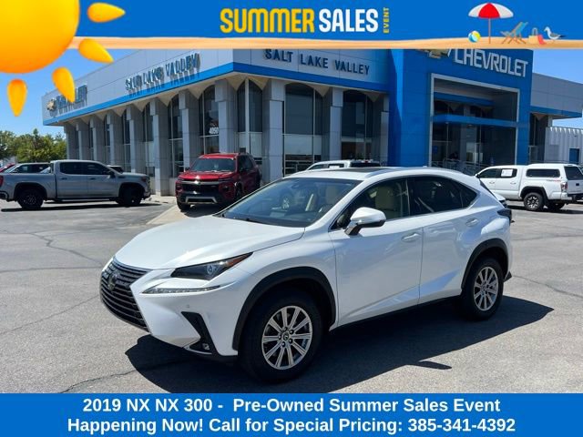 2019 Lexus NX 350 300 AWD's photo