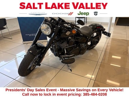 2017 Harley-Davidson Softail Motorcycle