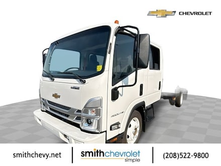 2025 Chevrolet Low Cab Forward 4500 Medium ASH Gray Truck