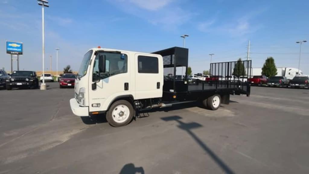 New 2025 Chevrolet Low Cab Forward 4500 Medium ASH Gray Truck