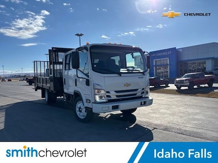 2025 Chevrolet Low Cab Forward 4500 Medium ASH Gray Truck