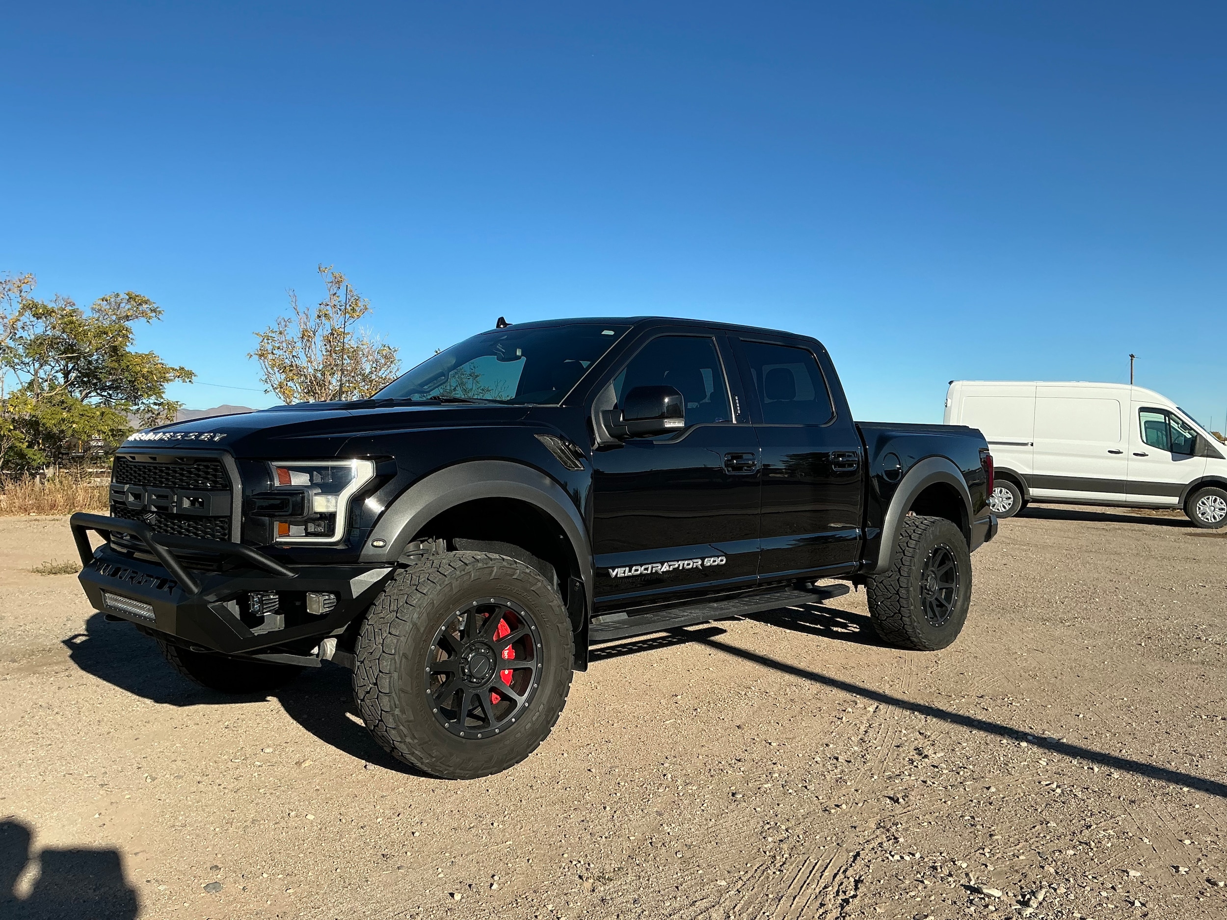 2020 Ford F-150 Raptor's photo