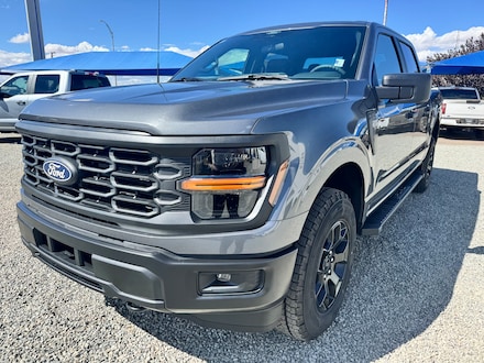 2025 Ford F-150 STX TRUCK