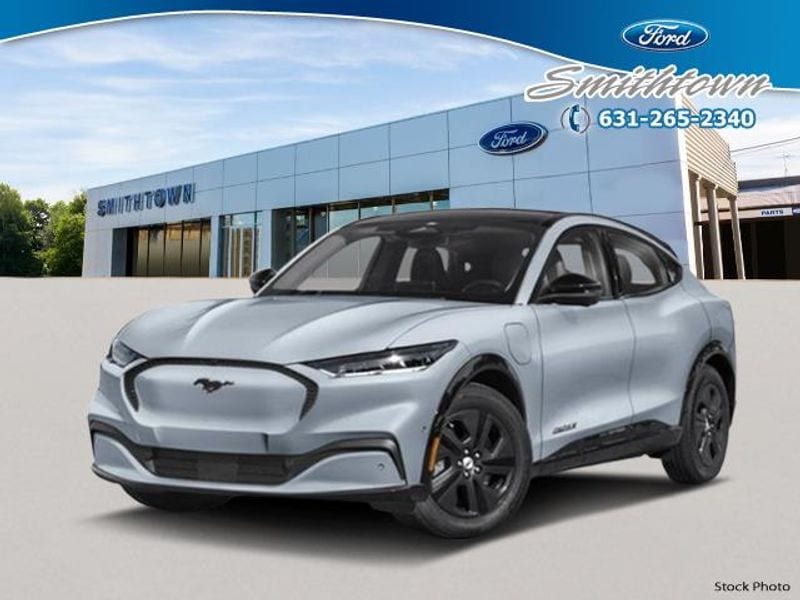 [GROVE]★22FW HELEN MUSTANG New 2025 Ford Mustang For Sale at Newins Bay Shore Ford Inc