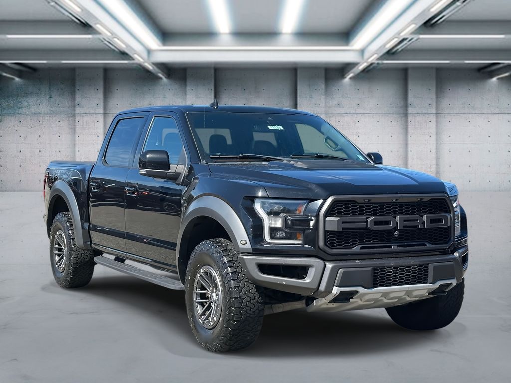 2019 Ford F-150 Raptor photo 2