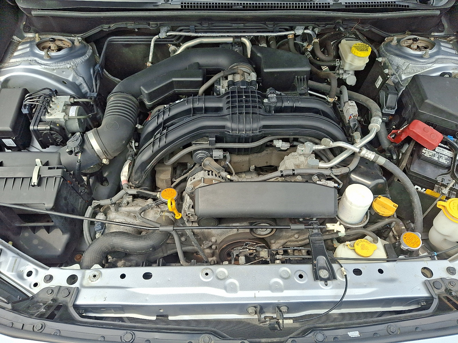 View 25
