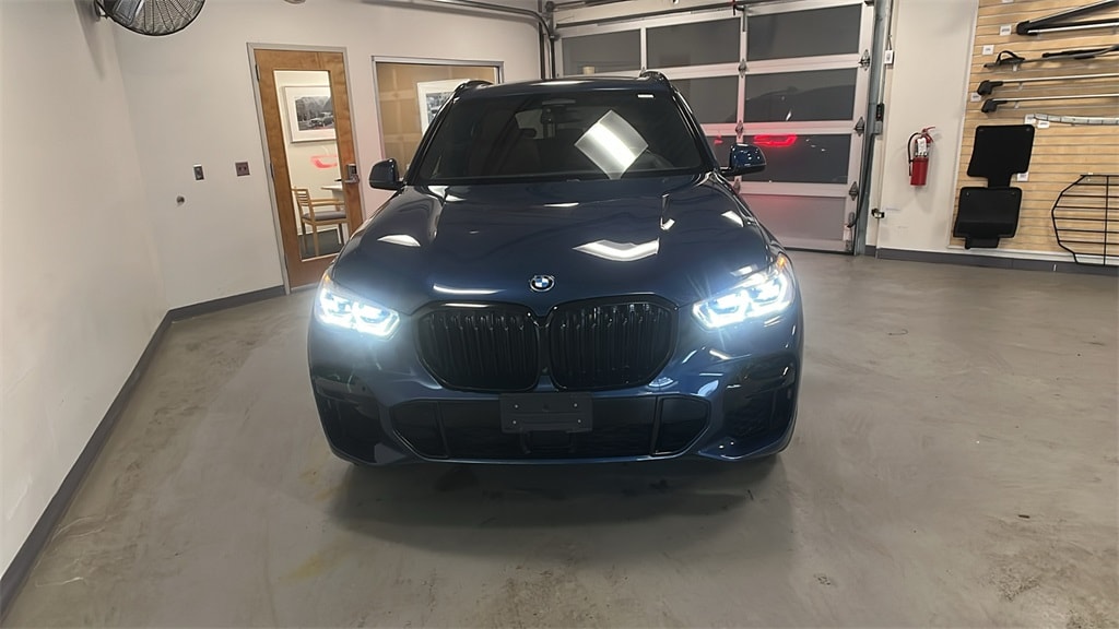 2023 BMW X5 45e's photo