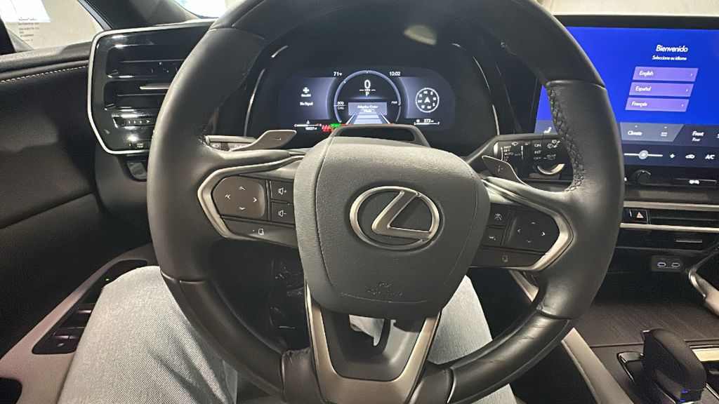 2025 Lexus RX Hybrid 350h - Photo 21