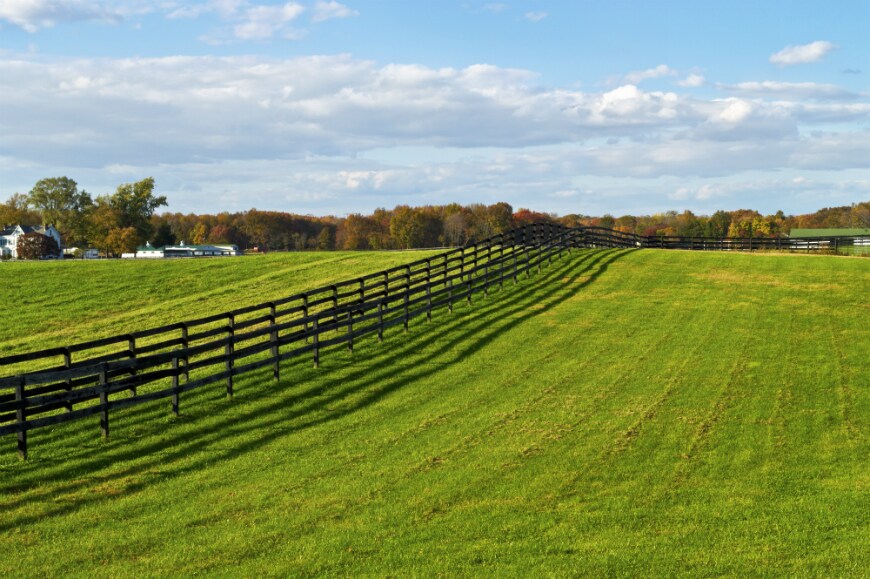 7 Iconic Images of New Jersey