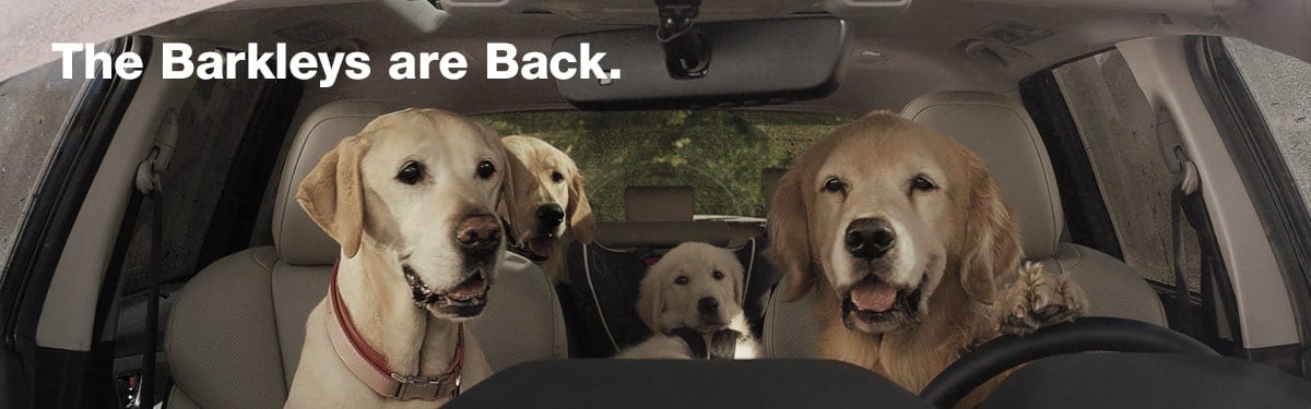The Barkleys are Back Video Clay Subaru