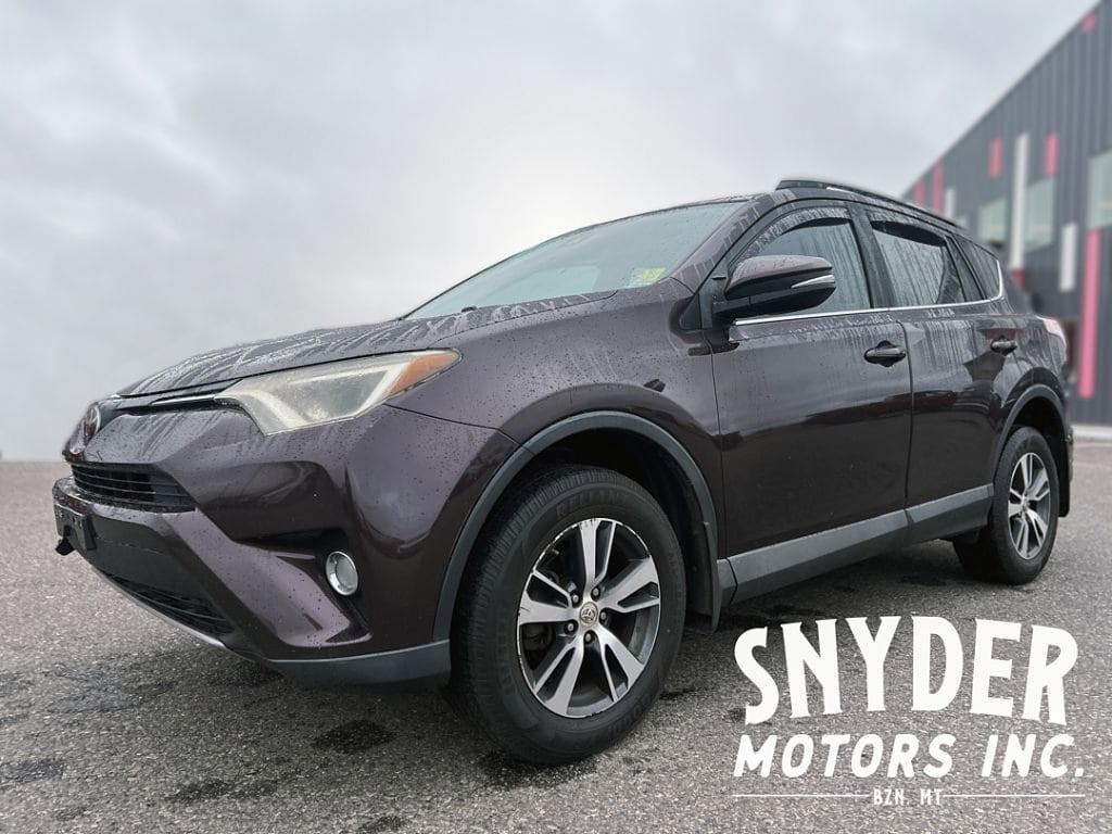 2017 Toyota RAV4 XLE