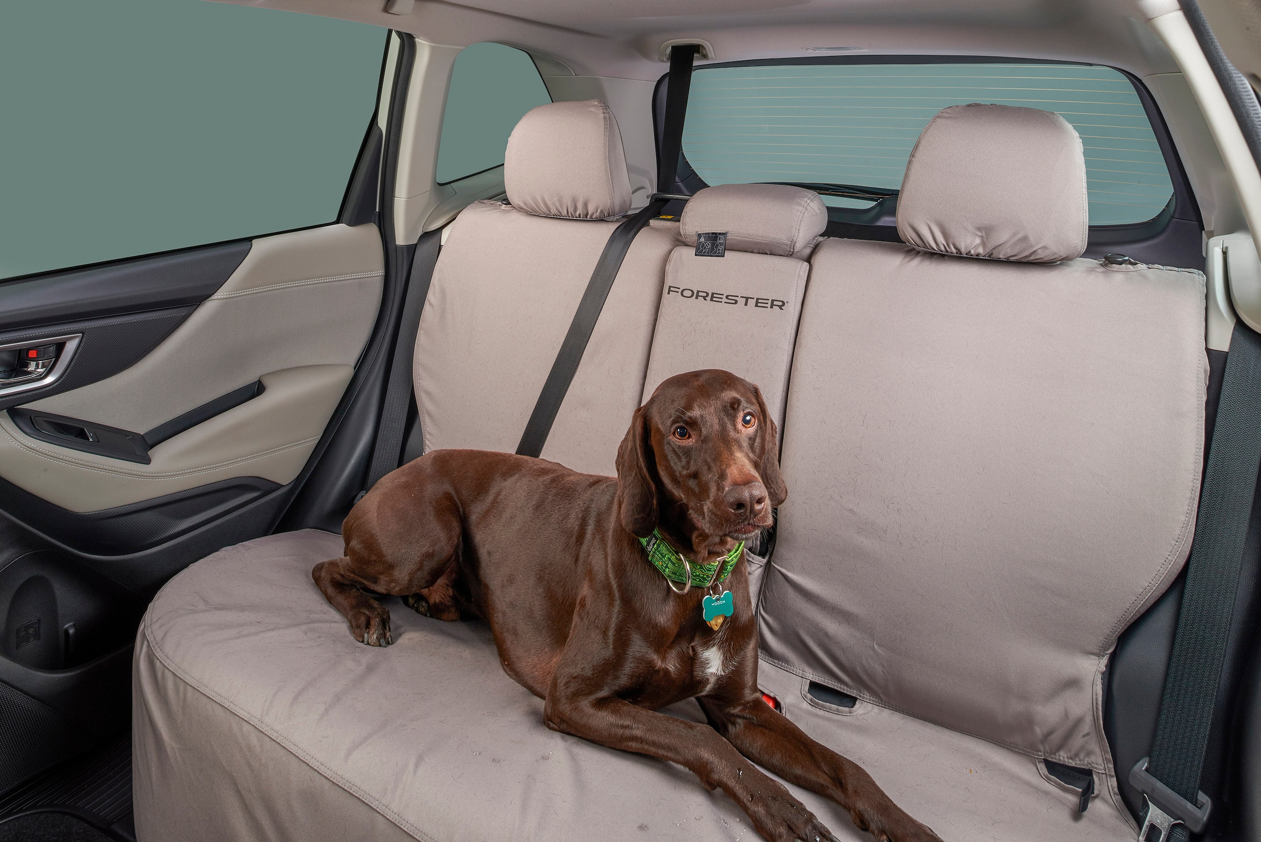 Genuine Subaru Pet-Friendly Accessories | Subaru of Portland