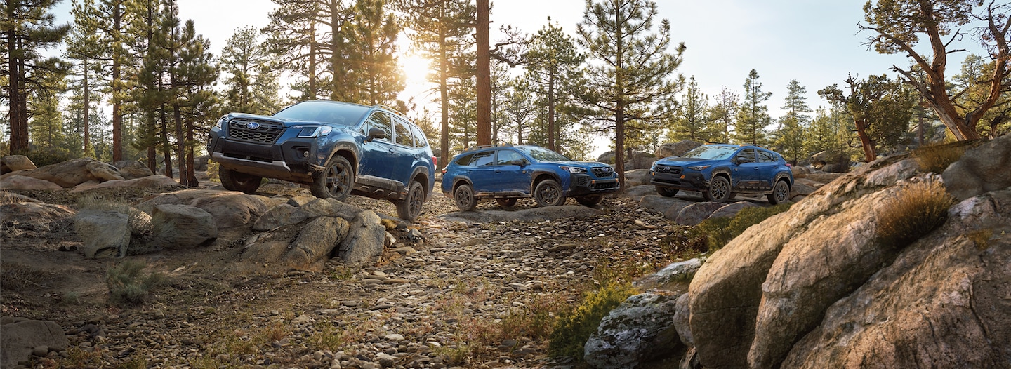 2024 Outback Wilderness, 2024 Forester Wilderness, and 2024 Crosstrek Wilderness in a Family of Vehicles shot in the woods