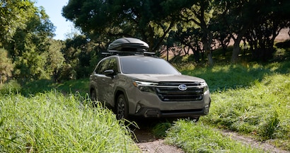 2025 Subaru Forester McCrea Subaru