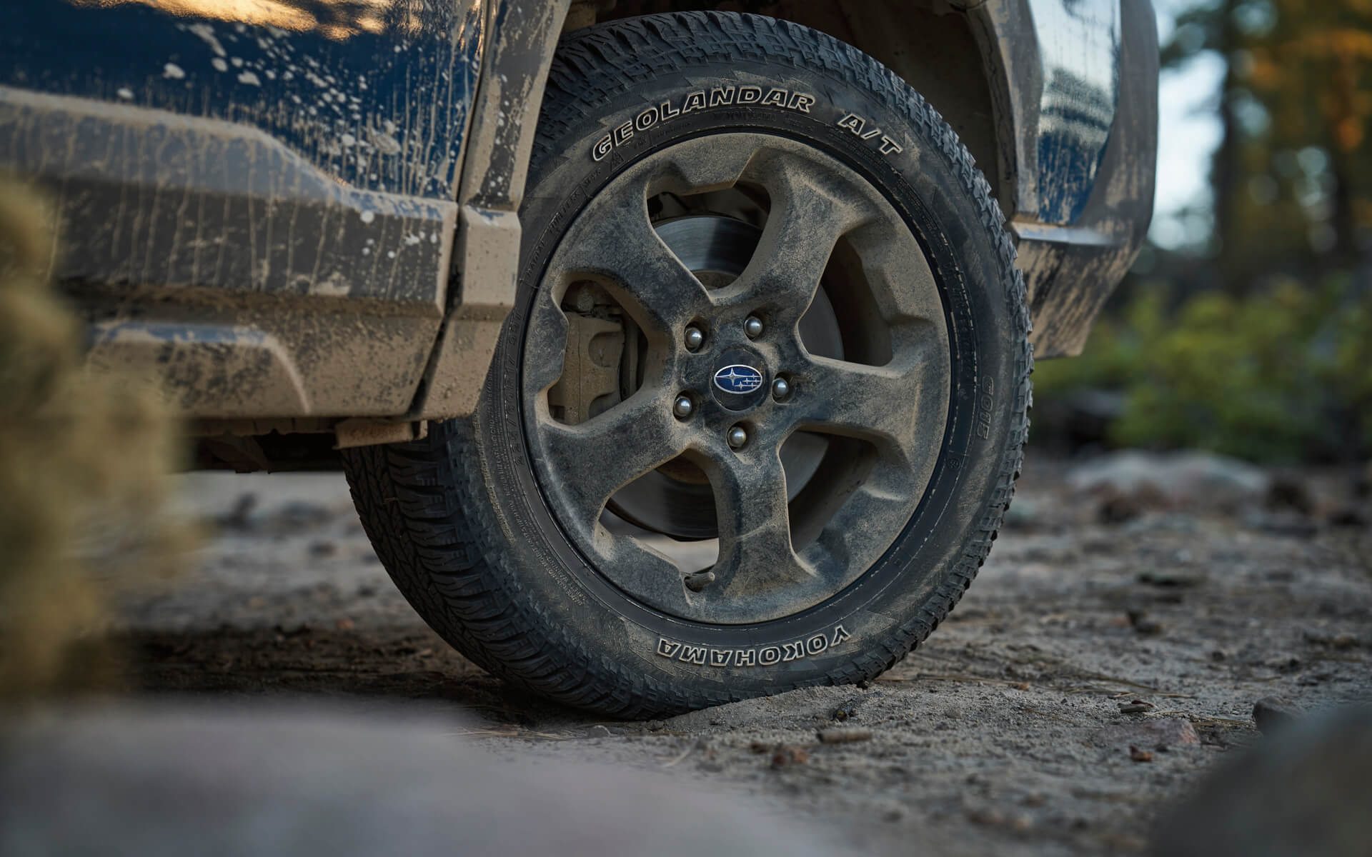 Subaru Forester Wilderness Subaru Boise Dealership