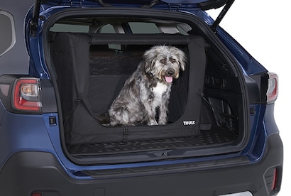 Subaru Pet Carrier And Mobile Pet Bed