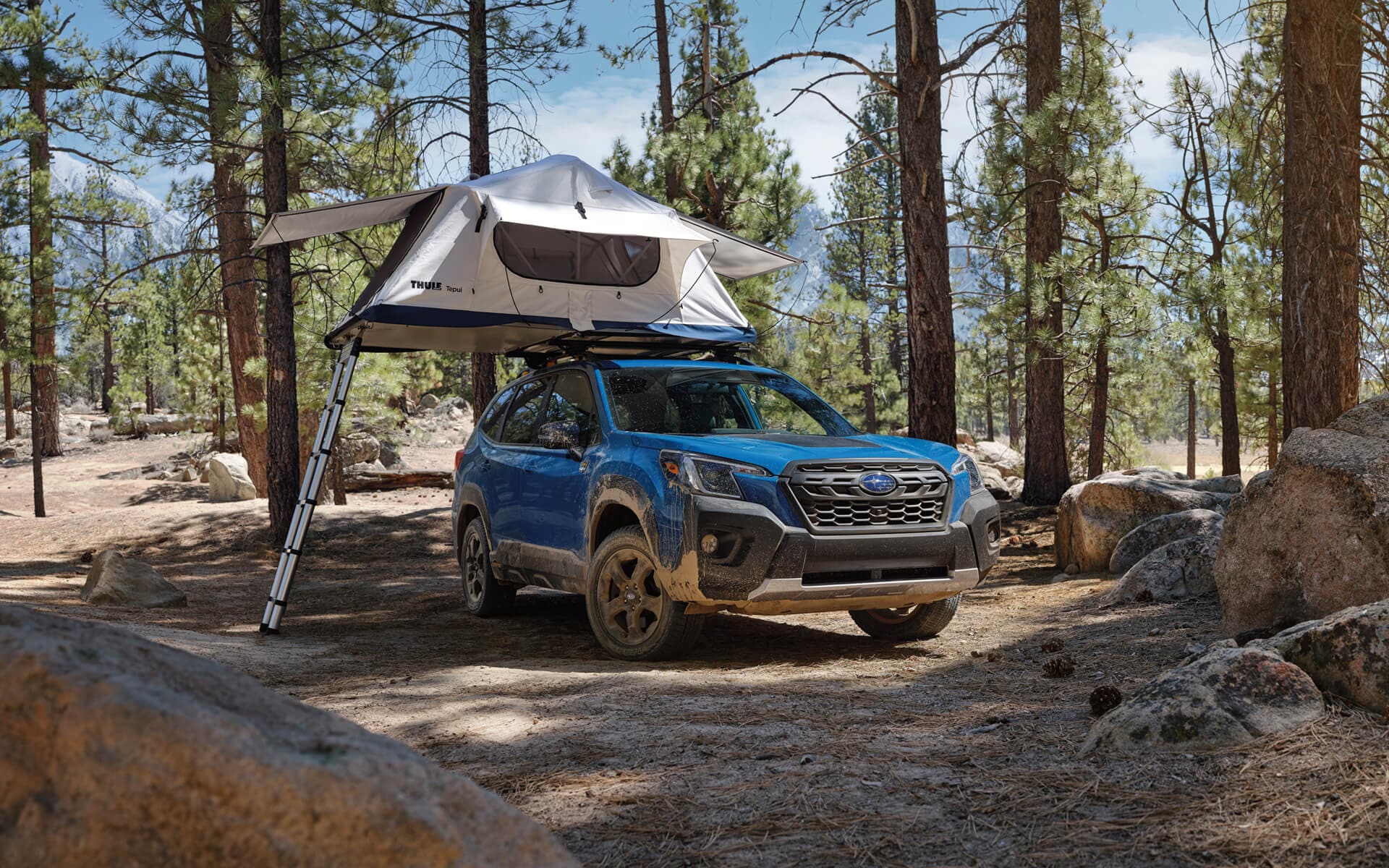 New 2022 Subaru Forester Wilderness Serra Subaru Champaign