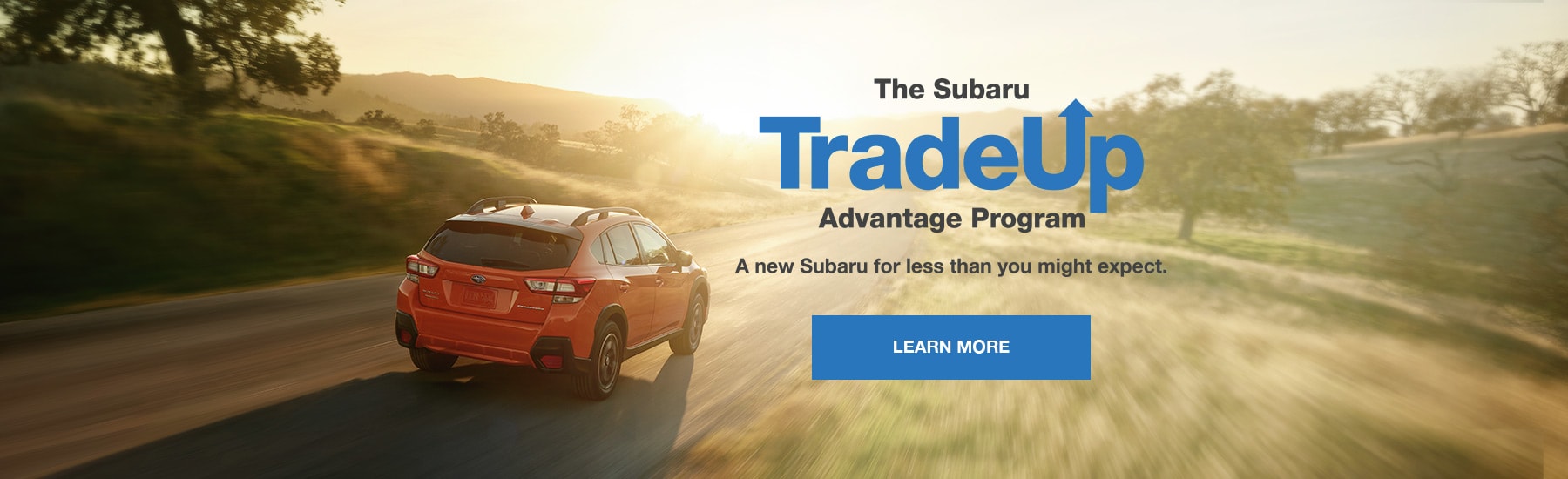 International SubaruOrland Park Subaru Dealer in Tinley Park, IL