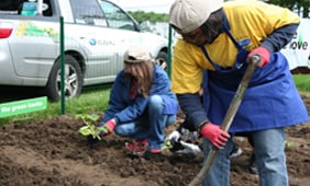 Share the Love Garden working
