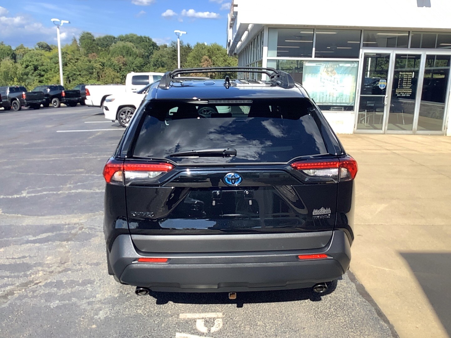 2024 Toyota RAV4 Hybrid photo 4