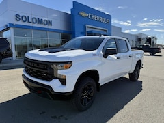 2026 Chevrolet Silverado 1500 Custom Trail Boss Truck Crew Cab