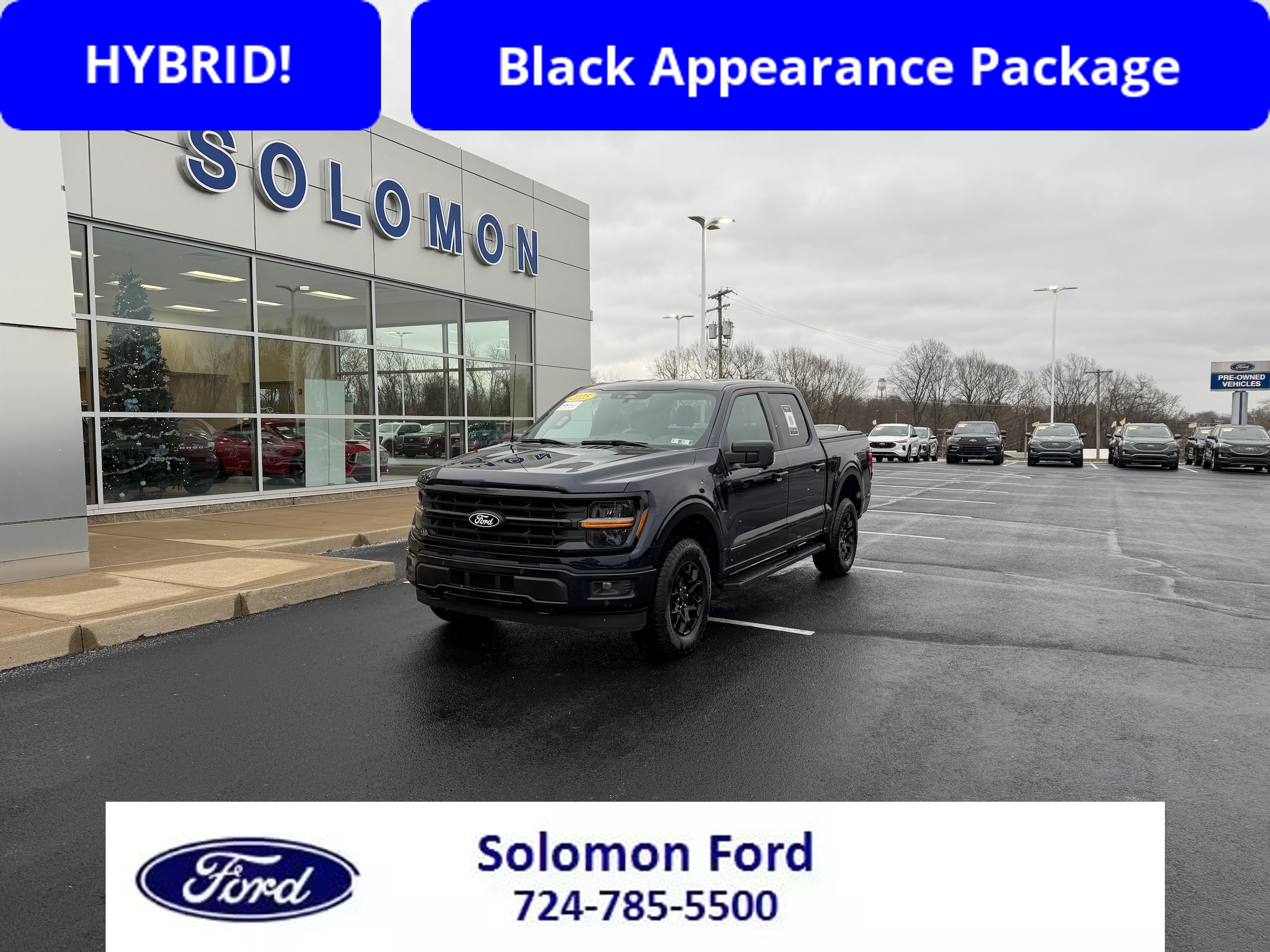 2025 Ford F-150 XLT's photo