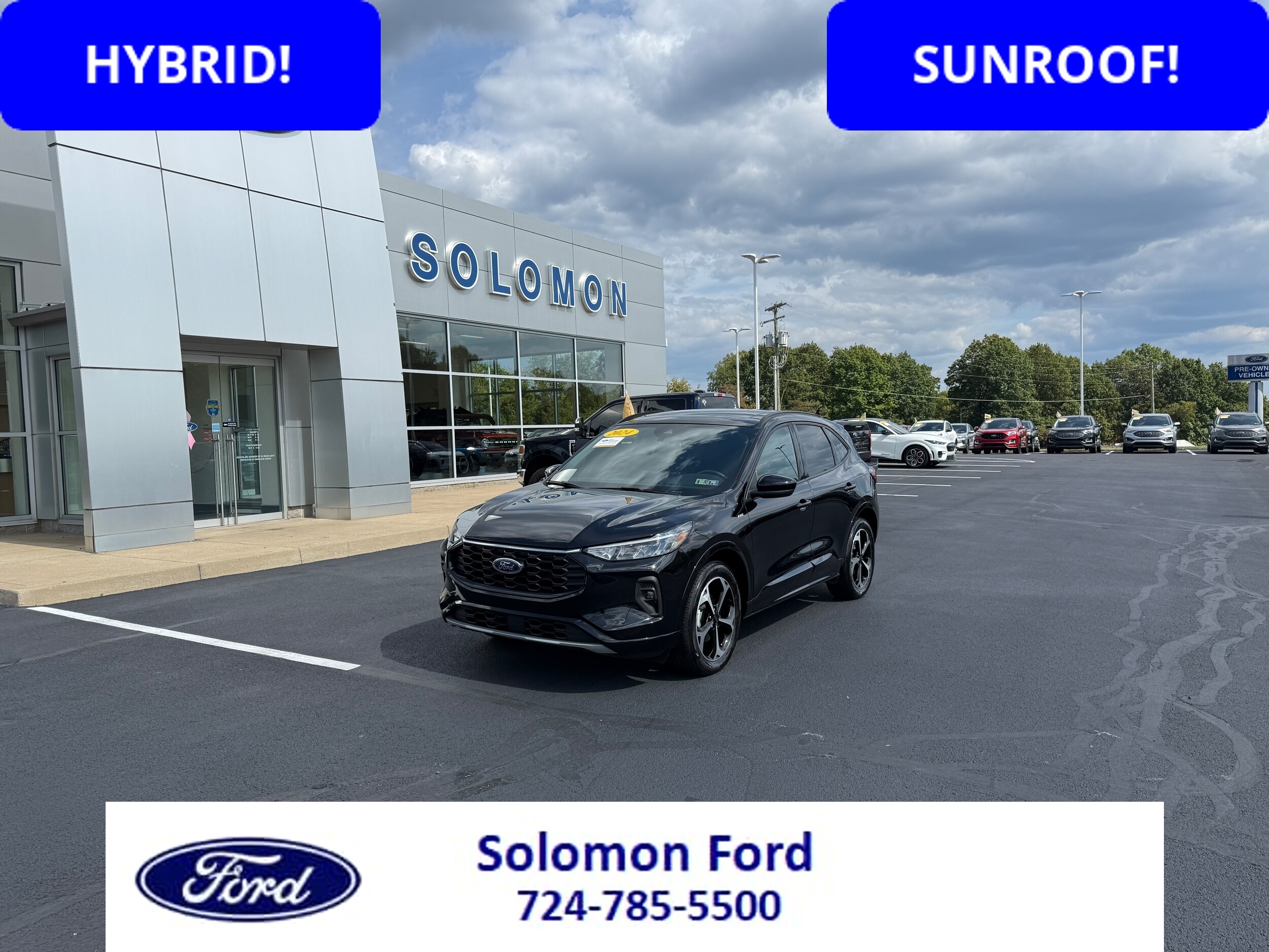 2024 Ford Escape ST-Line Select's photo